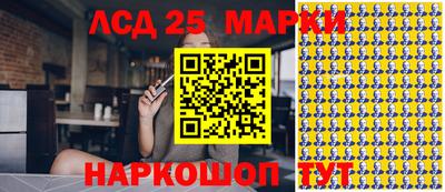 гидропоника Будённовск