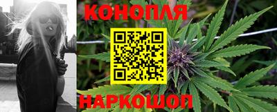 гидропоника Будённовск