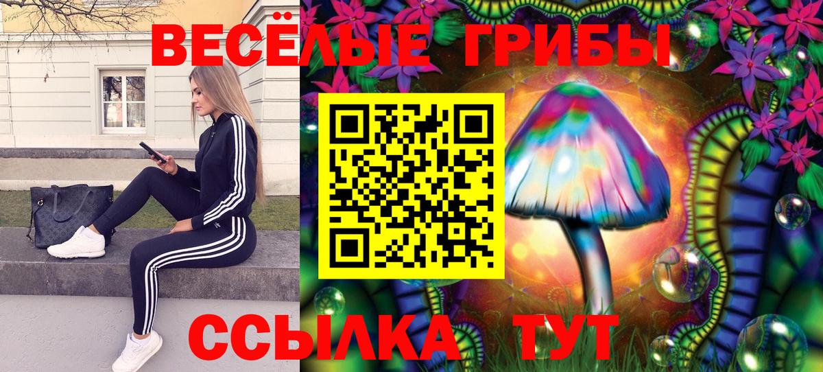 Галлюциногенные грибы мухоморы Рославль